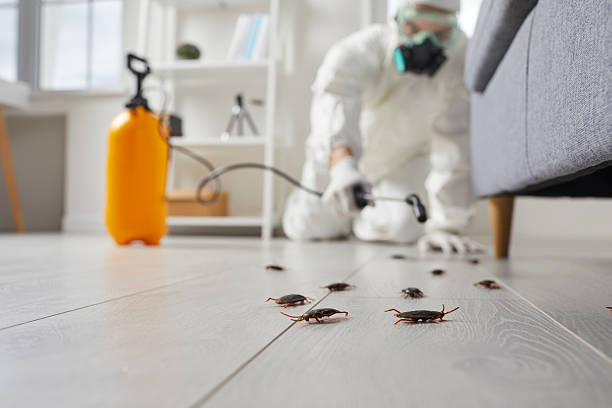 Post-Treatment Bed Bug Interceptor Monitoring in Washington Park