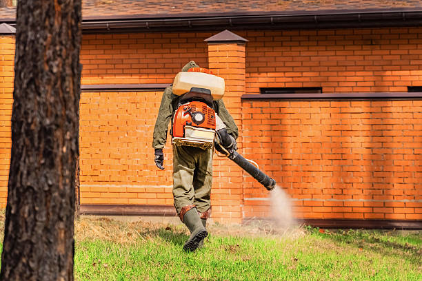 Bed Bug Clearance Verification and Documentation in Washington Park